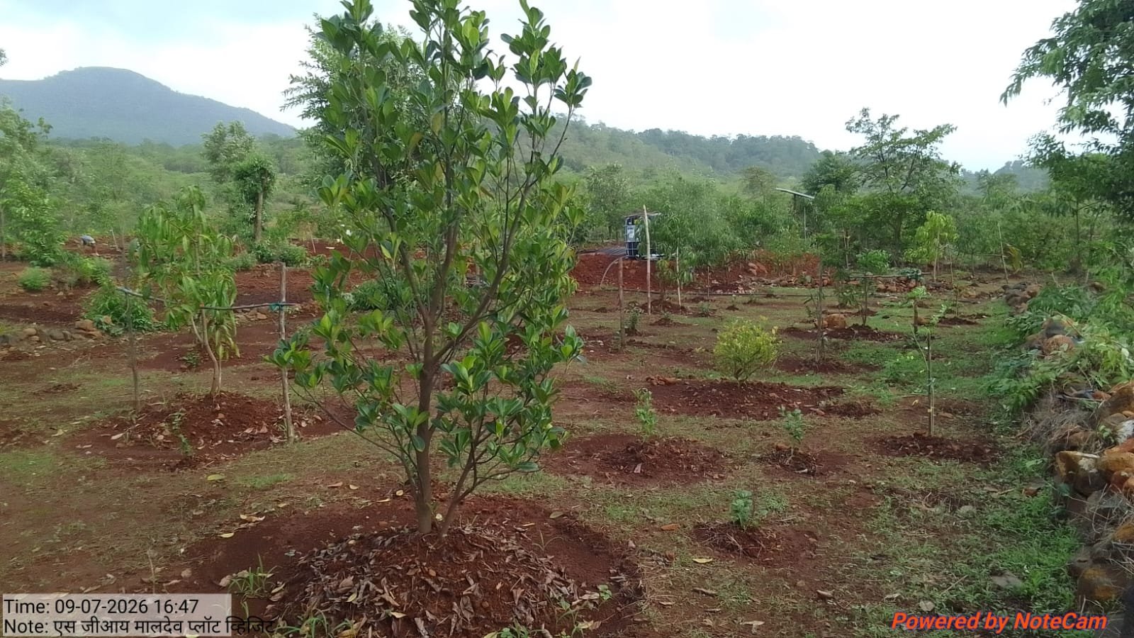 NRM Project