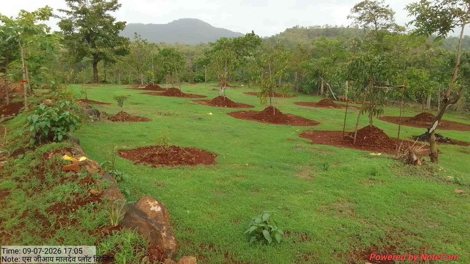 NRM Project
