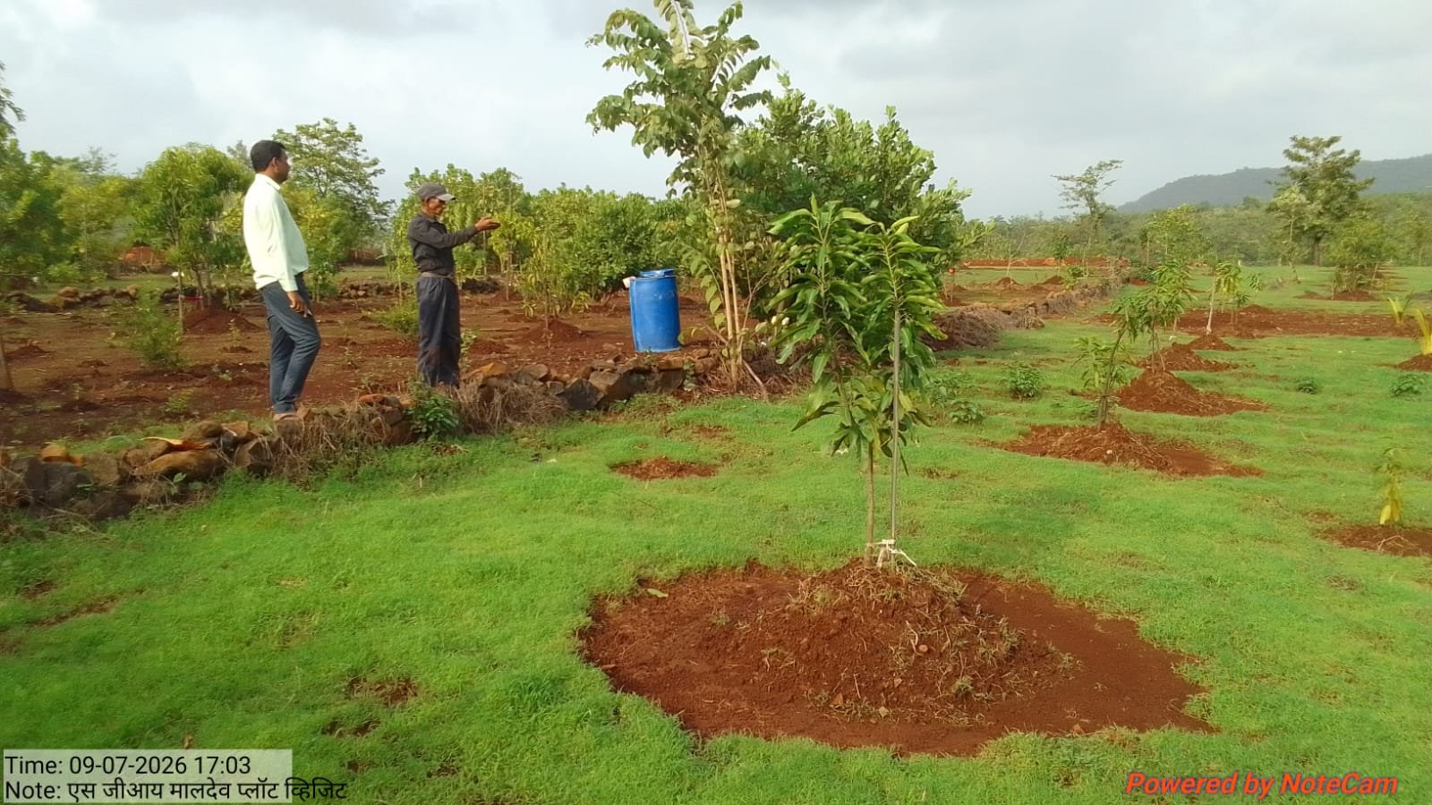 NRM Project