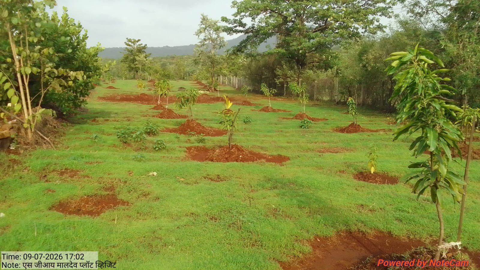 NRM Project