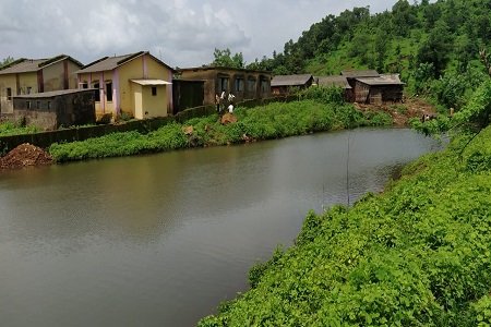 Springshed Dev